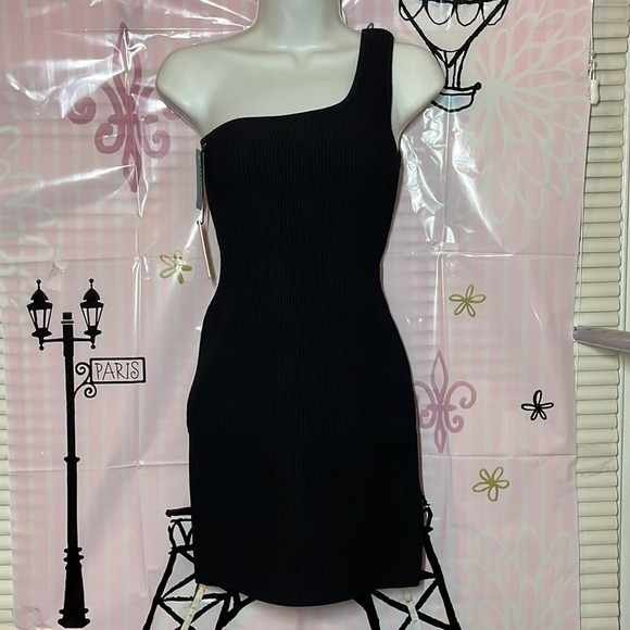 Babaton | Dresses | Aritzia Color Black 